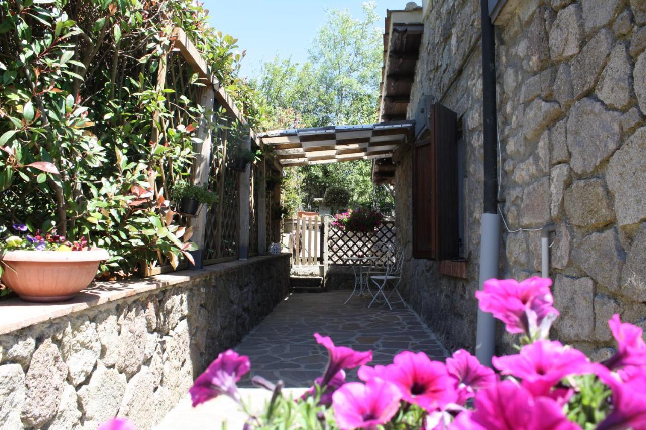 Agriturismo Biagiotti Abbadia San Salvator Exteriér fotografie